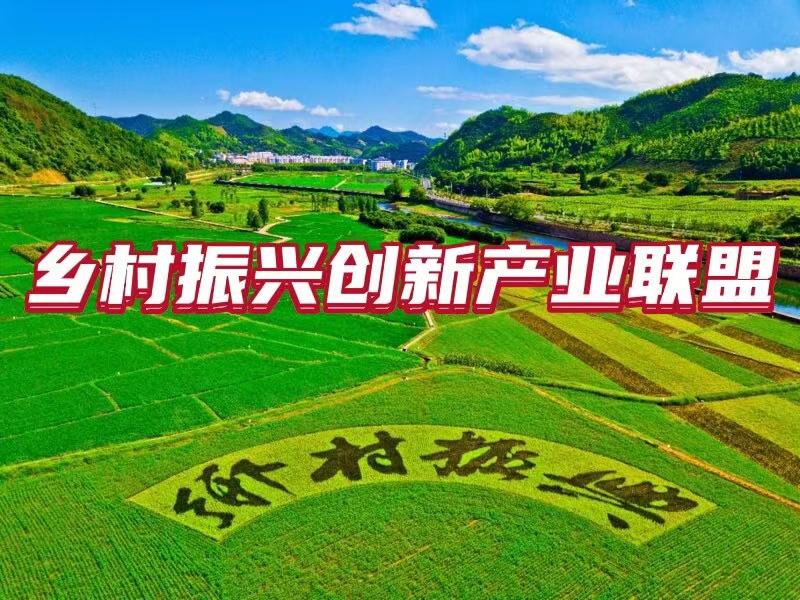 贵州联动协作惩治国企腐败 深挖细查堵塞监管漏洞